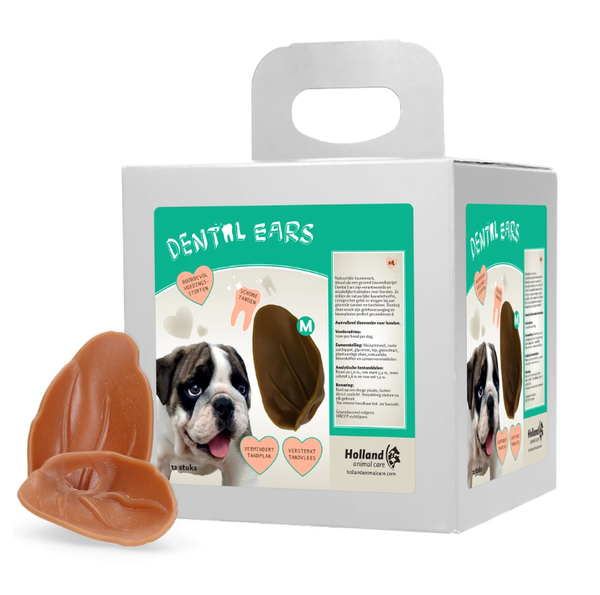 Dental Ears Medium